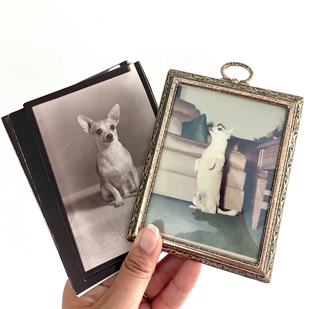 Vintage 60’s chihuahua puppy dog photographs & gold filigree frame set
